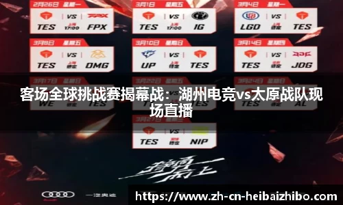 黑白体育直播