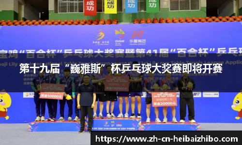 黑白体育直播