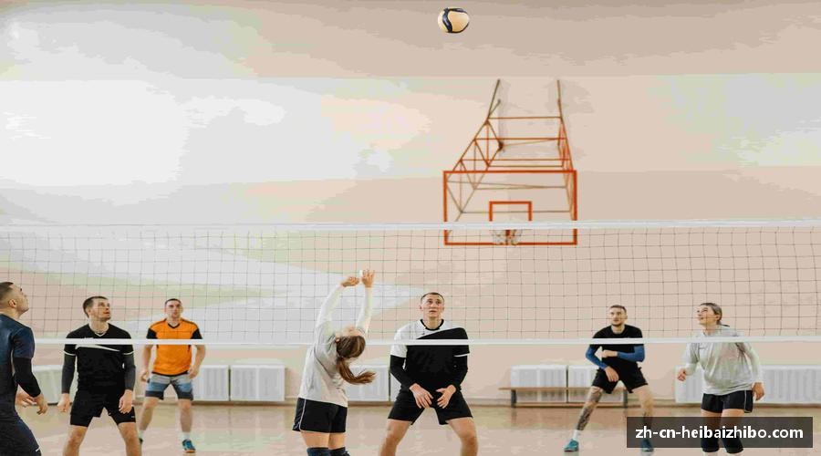 发现黑白体育直播